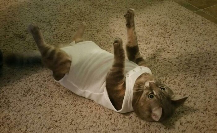 Piggy Believed That The “Onesie” She Was Forced To Wear Had Stolen Her Power To Walk