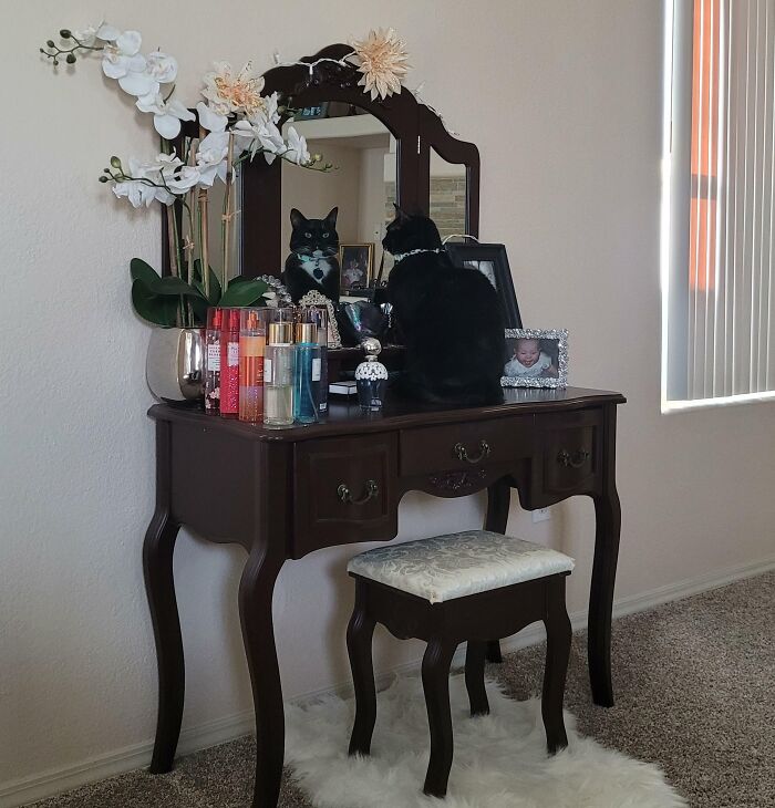 He Does This Often. Guess He Needs His Morning Pep Talk