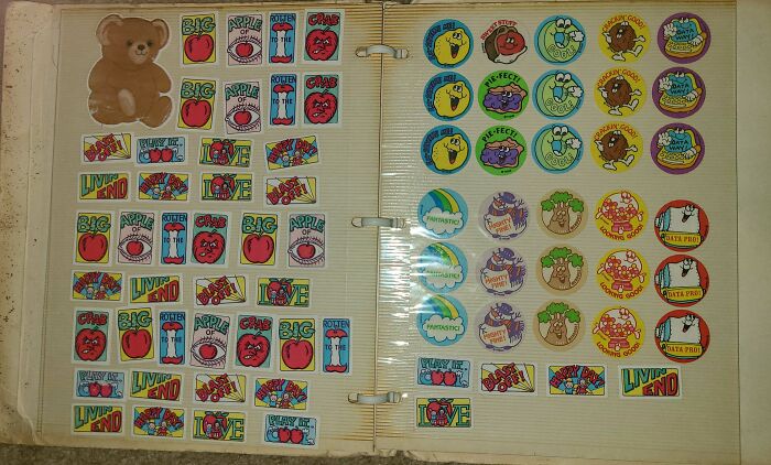 Who Else Had A Sticker Album?