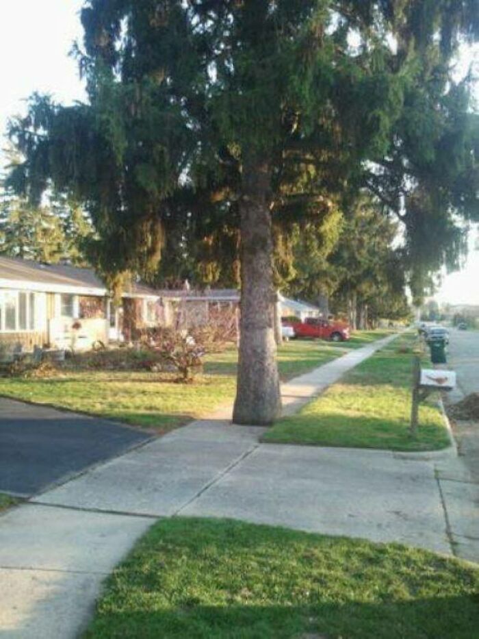 Mother Nature: 3 Architects: 0