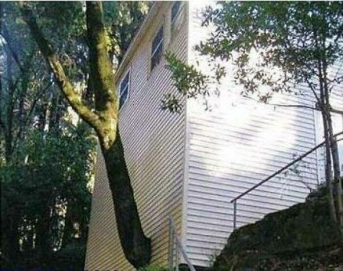 Waitttt, Mother Nature: 2 Architects: 0