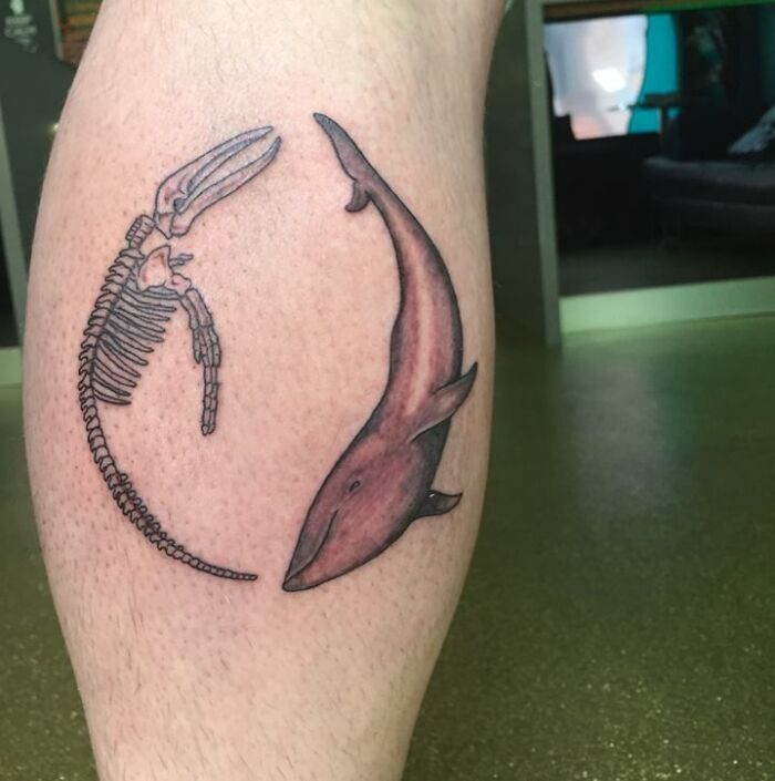 Yin Yang tattoo featuring a dolphin and a skeleton, symbolizing duality on a leg.