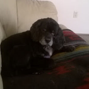 septembermullins avatar