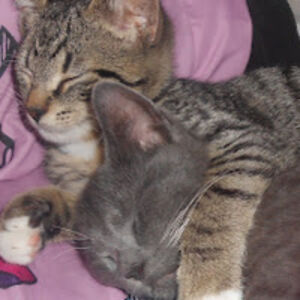 naryaniecontreras avatar