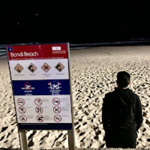 jacobsternfein_2 avatar