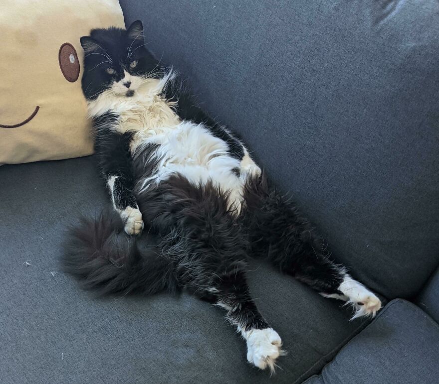 She Does This When It's Hot She Does This When It's Hot