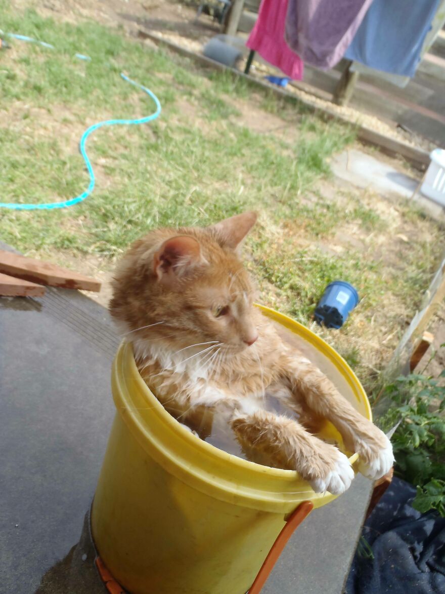 It's So Hot Out Today.... It's So Hot Out Today....