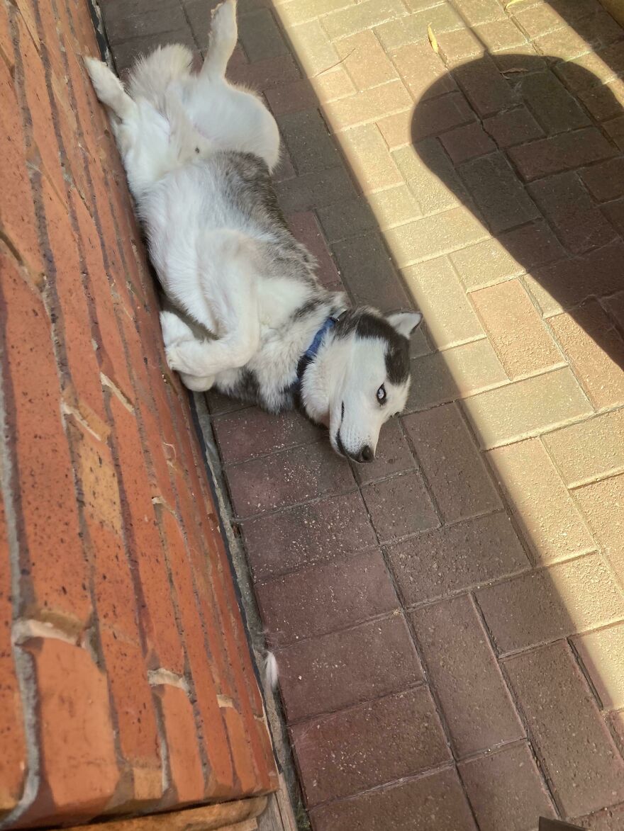 He Doesn’t Like The Heat He Doesn’t Like The Heat