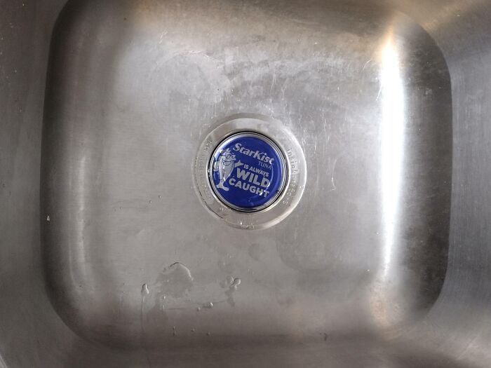 I Accidentally Dropped My Can Of Tuna In The Sink Today