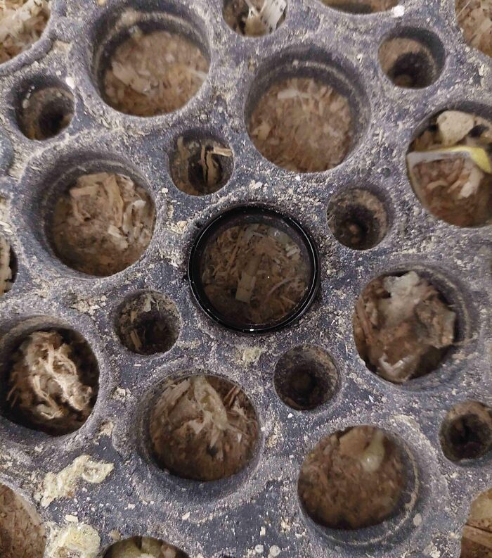 I Lost My Ring At The Workshop, Found It Days Later In One Of Our Grip Mats