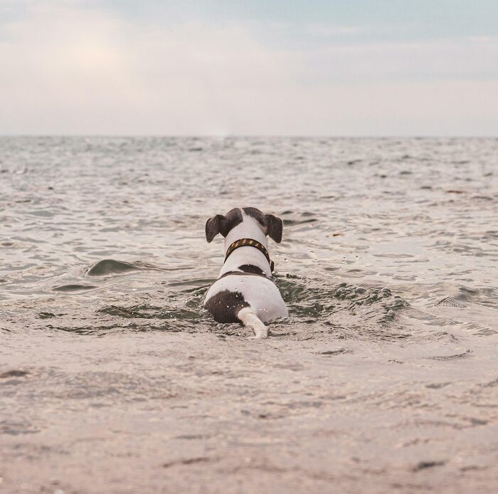 The Tail-End Of Summer