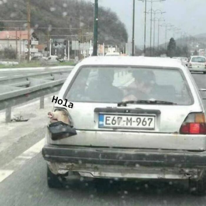 Cursed-Blessed-Blursed-Images