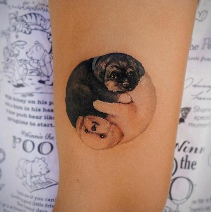 Yin Yang tattoo of two cuddling dogs on an arm, symbolizing duality.