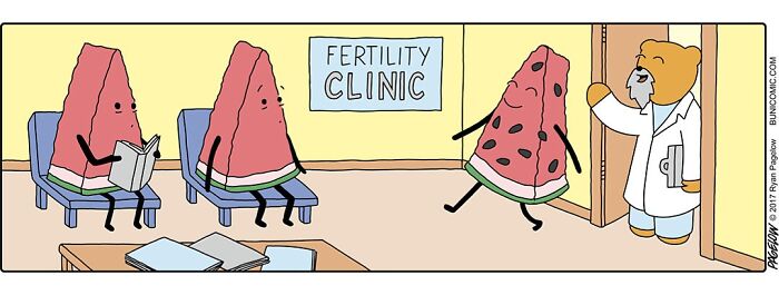 23 Comics Where Doctor Bears Will Make Your Day Better