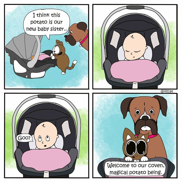 Artist’s New Hilarious Comics About Life With His Cat