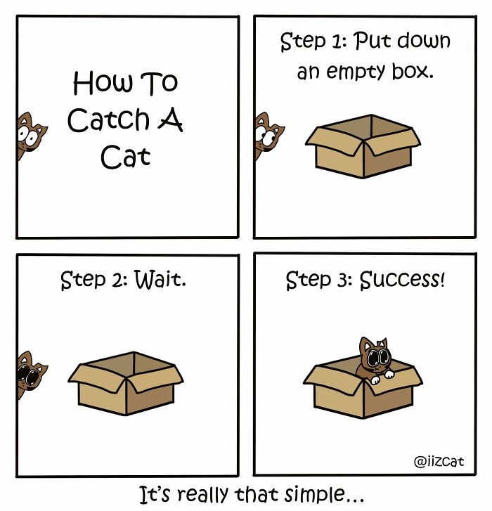 Artist’s New Hilarious Comics About Life With His Cat