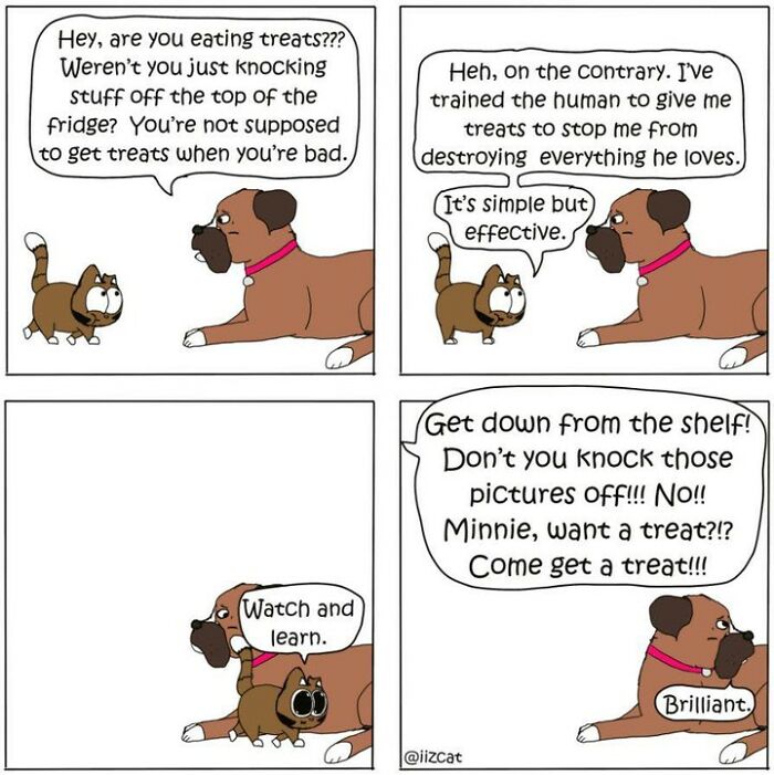 Artist’s New Hilarious Comics About Life With His Cat