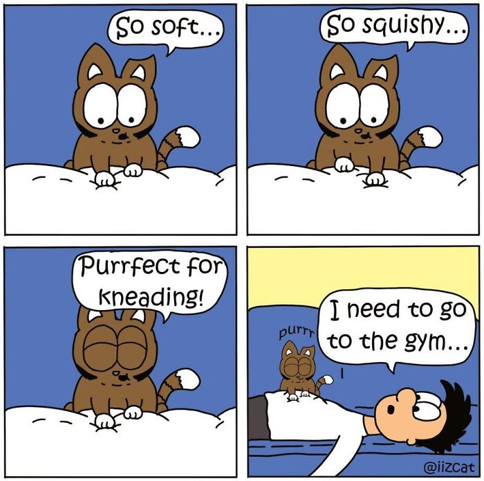 Artist’s New Hilarious Comics About Life With His Cat