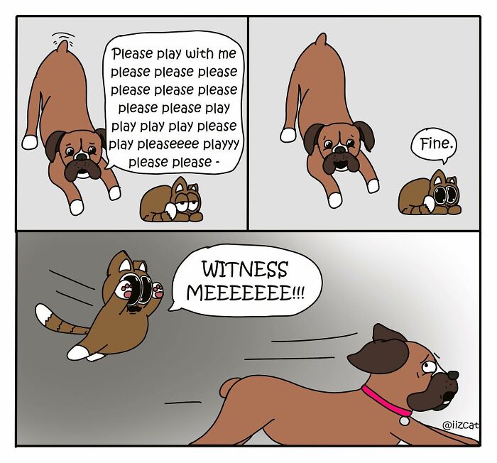 Artist’s New Hilarious Comics About Life With His Cat