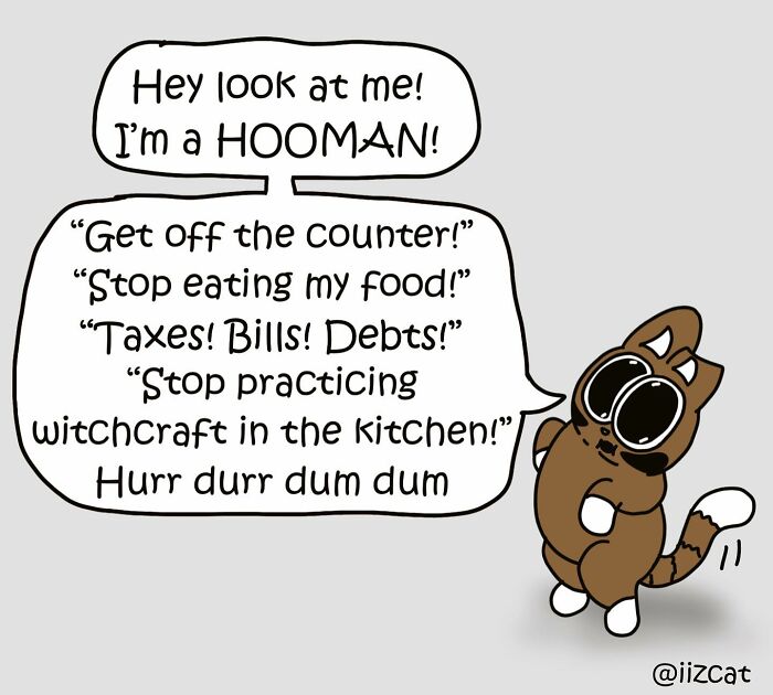 Artist’s New Hilarious Comics About Life With His Cat