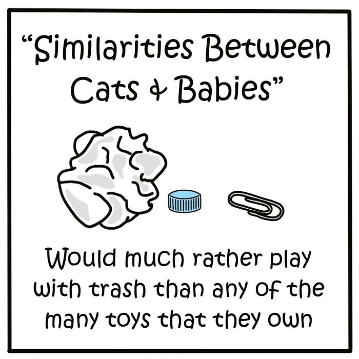 Artist’s New Hilarious Comics About Life With His Cat