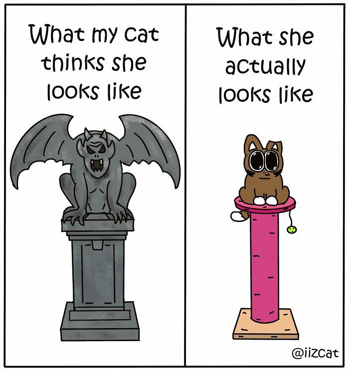 Artist’s New Hilarious Comics About Life With His Cat