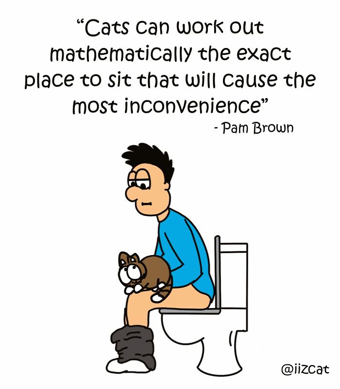 Artist’s New Hilarious Comics About Life With His Cat