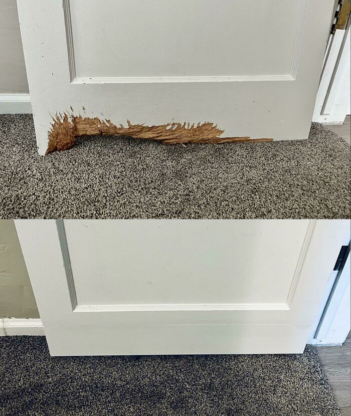 It’s Not Perfect But $35 For All The Materials Beats Buying A New Door. Damn Dog Won’t Keep Me From Getting That Security Deposit Back