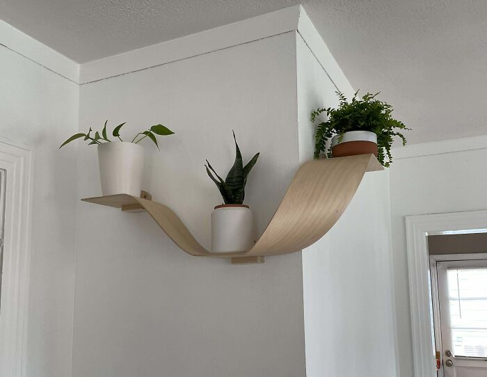 Curved Shelf Experiment