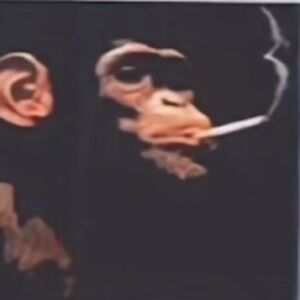 aidanharrigan-wells avatar