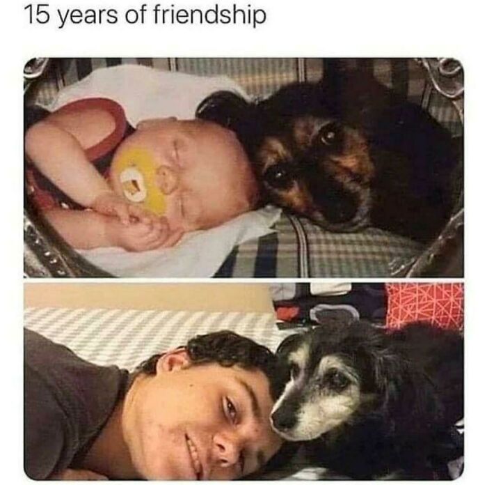 Truly Man's Best Friend!