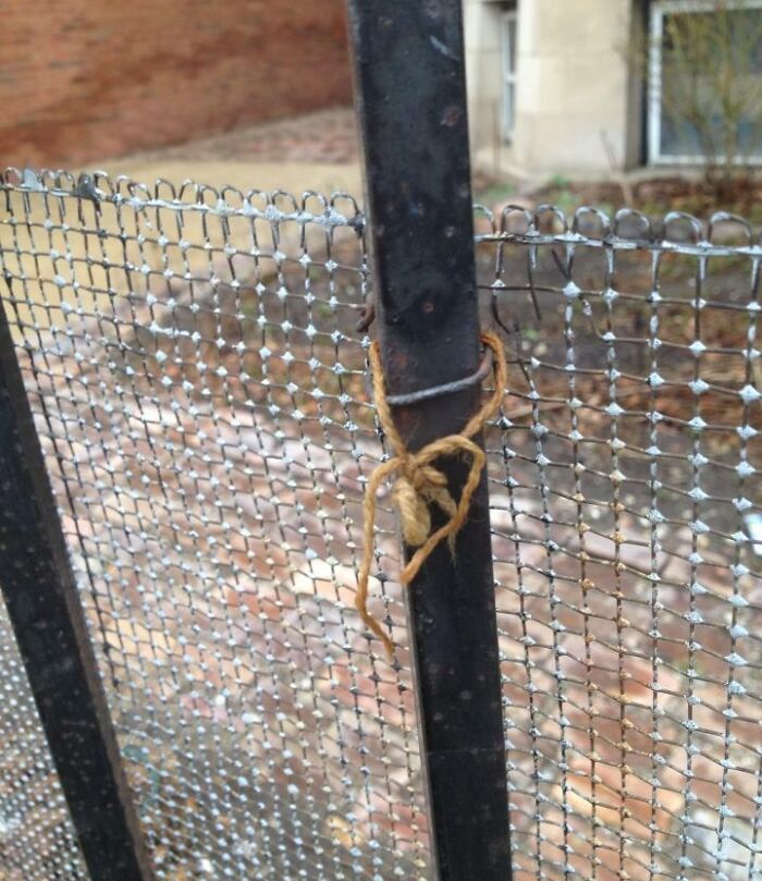 Almost Had A Damn Heart Attack When The Wind Blew This Spider Towards Me... Till I Realized What It Was