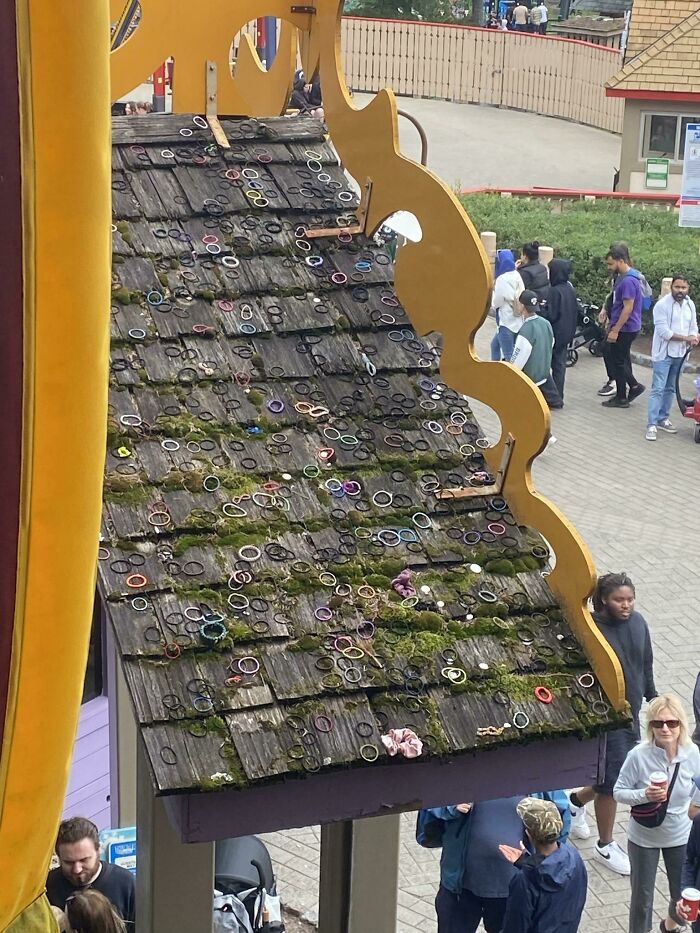 All These Hair Ties Underneath A Rollercoaster