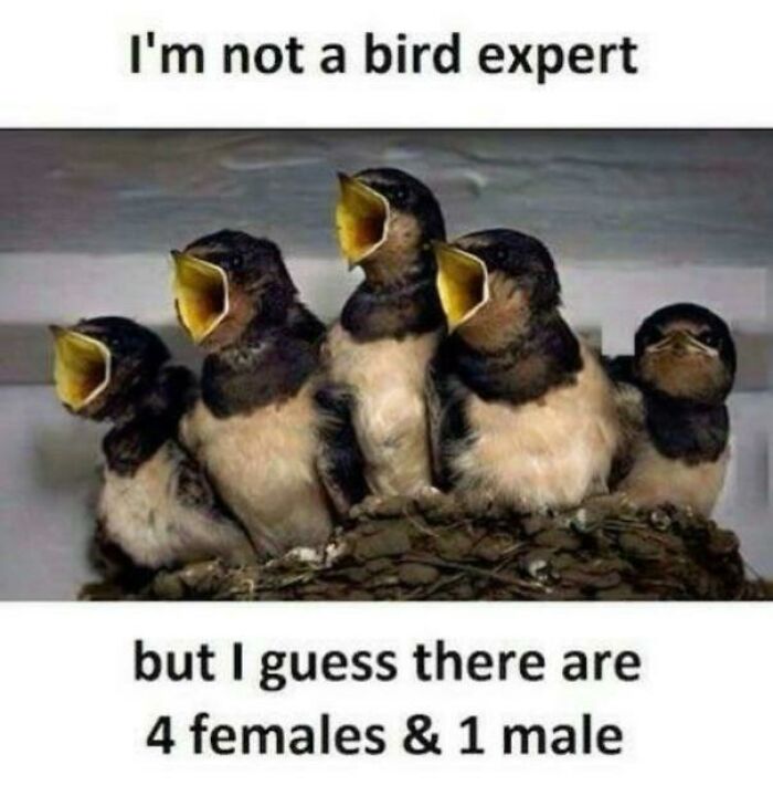 It Is Too Noisy Here