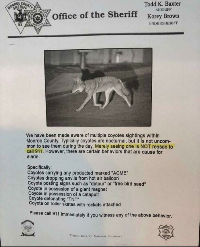 Ah Yes, The Casual Neighborhood Coyote Detonating Tnt