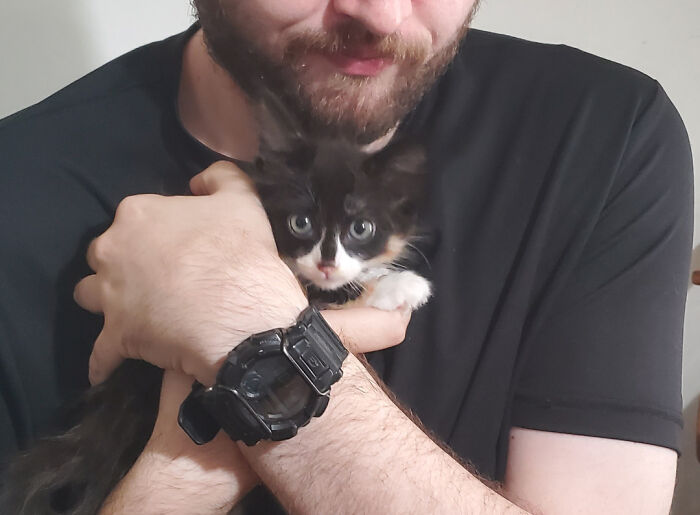 Our Rescue Kitten Is Doing So Well! We Love Her!