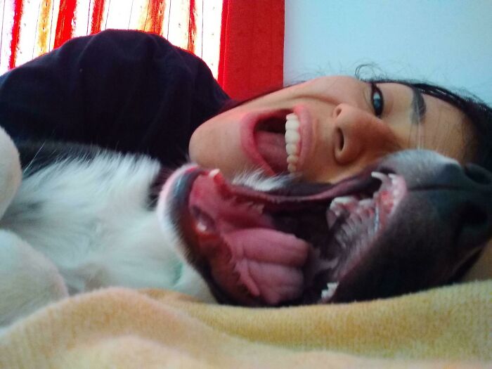 My New Friend Has Very Small Teeth