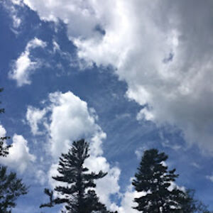 jennifermcquade avatar