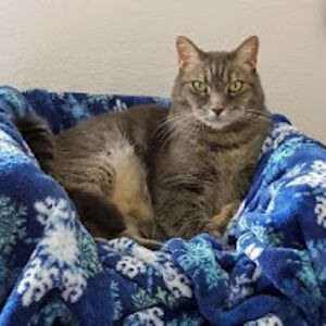 manuelahorswell avatar