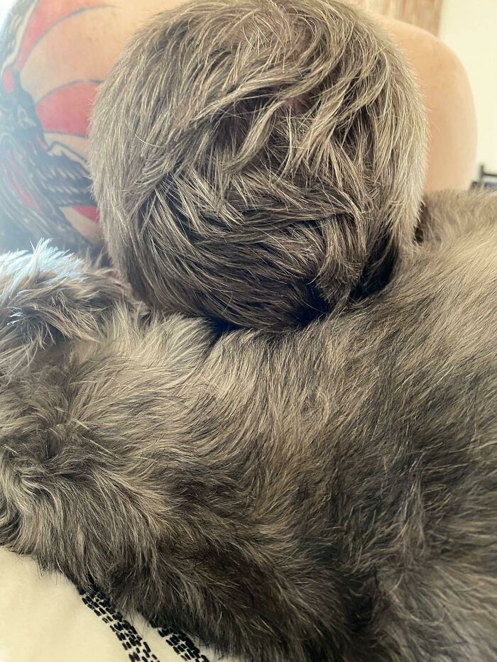 My Dog And Boyfriend’s Hair Match