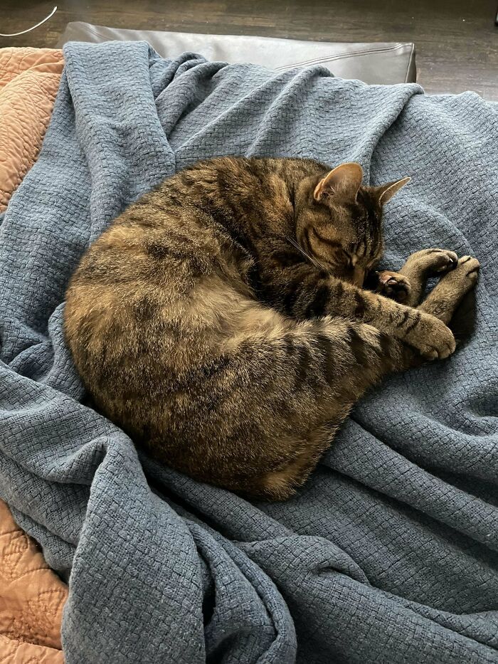 Adopted This 12 Year Old Baby Last Week