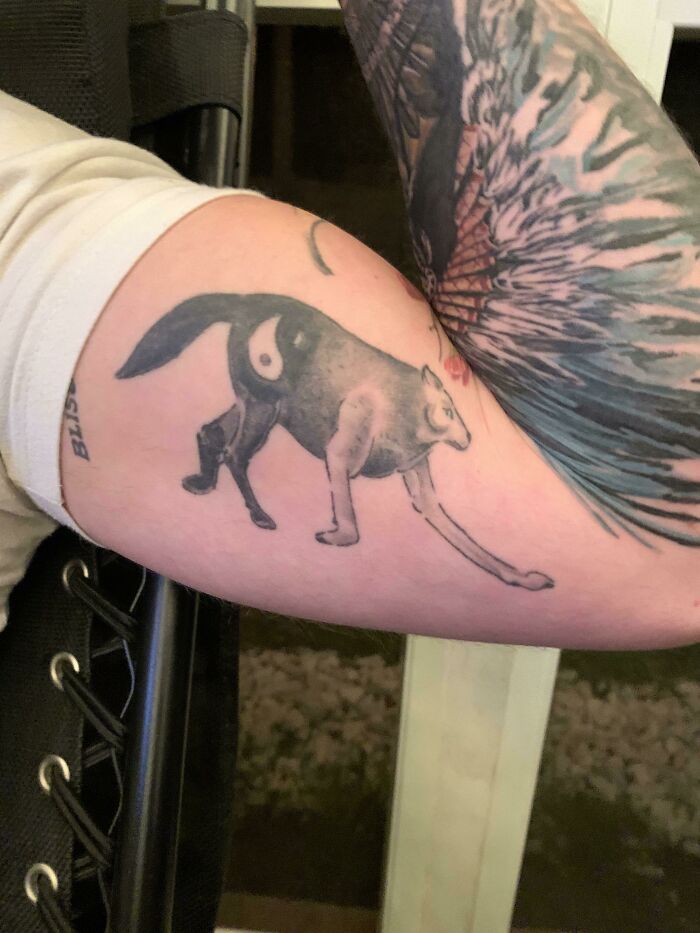 Tattoo of a wolf with a human arm on an upper arm, showcasing unusual tattoo choices.
