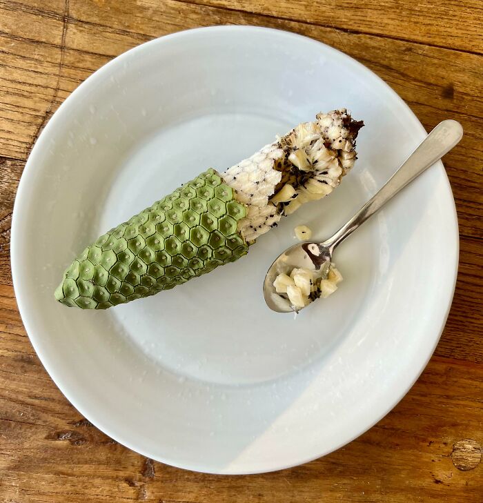 Finally Got To Taste A Monstera Fruit! If You’re Wondering, To Me It Tastes Like Banana, Pineapple And Strawberry Combined