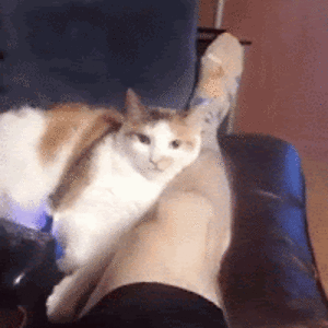 kennadiekelley avatar