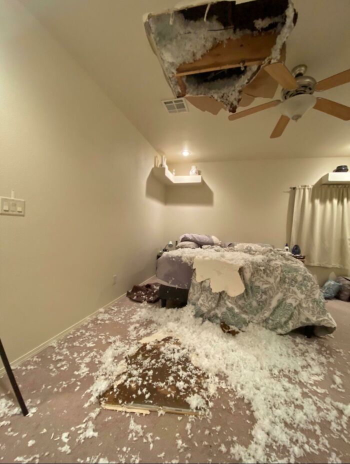 Was Getting Ready For Bed, Walked Into My Bedroom To This