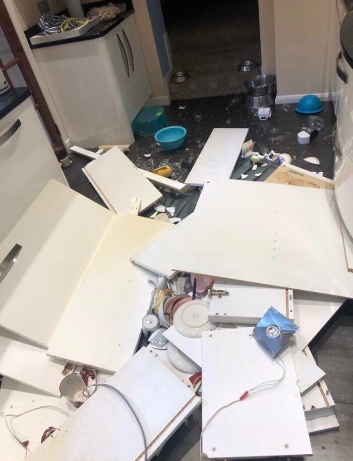 Kitchen Cabinets Decided To Yeet Themselves At 4 In The Morning