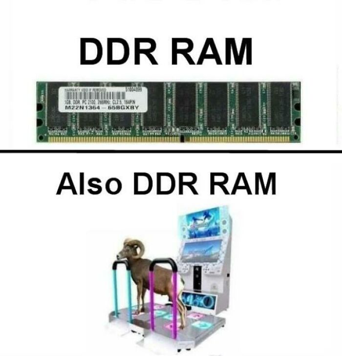 True. Can I See The Bottom On Though?