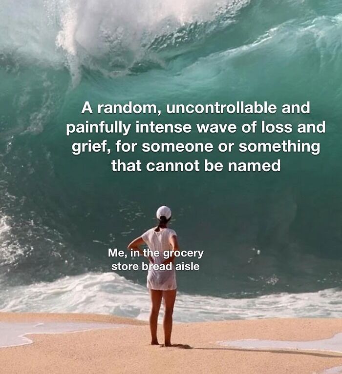 a wave of intense feelings crashing like a tsunami meme