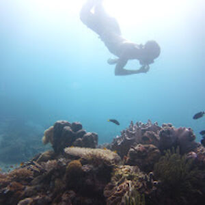 adamsmurthwaite avatar