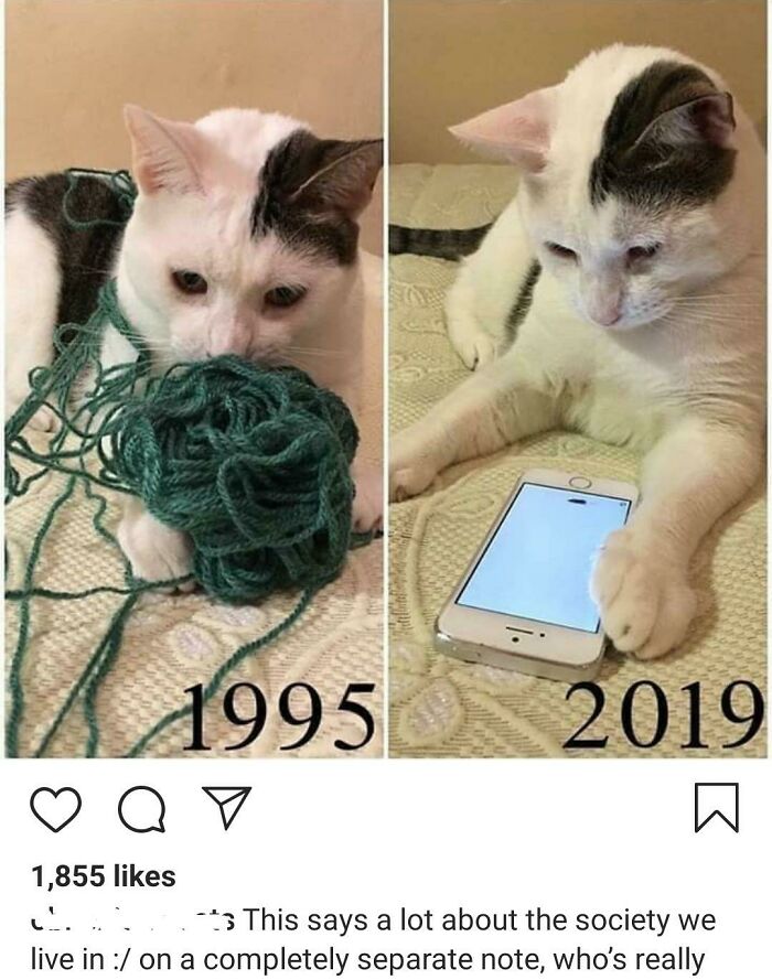 Wait Where Did You Post This?